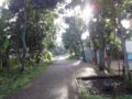 Tanah Luas dengan Ratusan Pohon Sengon di Banyuwangi Cocok Untuk Perumahan