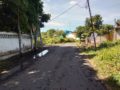 Tanah Luas dengan Ratusan Pohon Sengon di Banyuwangi Cocok Untuk Perumahan